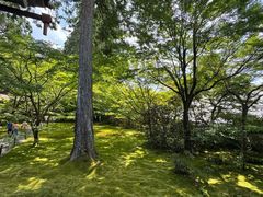 -三千院