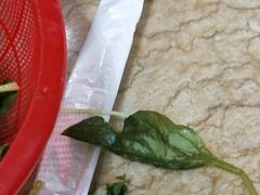 -穆老九清真牛羊肉馆(宋城店)