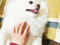 -CoCo都可(香梅花园店)