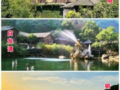 -龙坞茶村