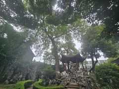 -范蠡湖公园