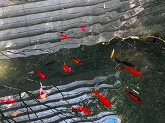 -苏州丝绸博物馆