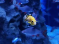 -成都浩海立方海洋公园