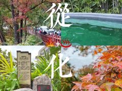 -广州市石门国家森林公园
