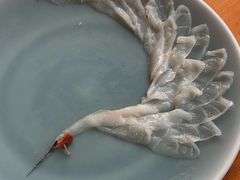 -天正河鲀·河豚亭(大连店)