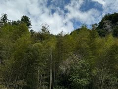 -黄山翡翠谷景区