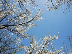 -云峰山自然风景区