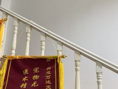 -科道动物医院·急重症中心(万达院)