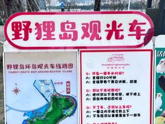 -野狸岛