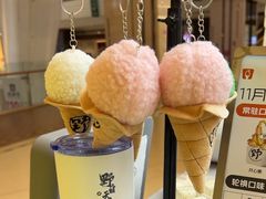 -野人先生现做冰淇淋(北京悠唐购物中心店)