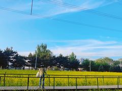 -长白岛森林公园