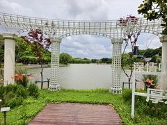 -上海鲜花港