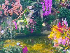 -上海辰山植物园