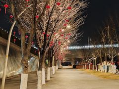 -南京眼步行桥