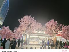 -首开·龙湖成都西宸天街