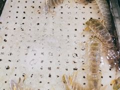 -小榄人家酒楼(民安店)
