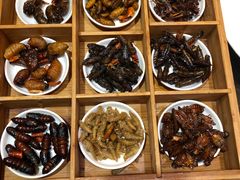 -昆虫窝子·特色云南菜(拓东路总店)