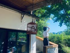 -碓臼峪自然风景区