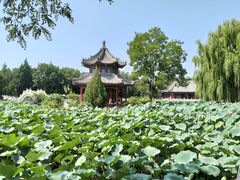 -莲池书院博物馆