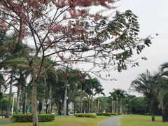 -深圳湾公园(南山区)