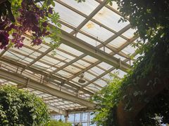 -石家庄市植物园