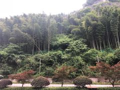 -长谷洞天