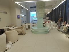 -怪兽屋·羊驼·猫咖·狗咖(俊华广场店)