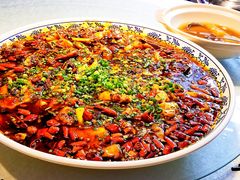 来凤鱼-新概念来凤鱼(璧山店)