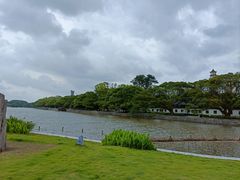 -江心屿景区