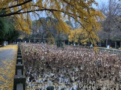 -四川大学(华西校区)