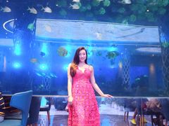 -瑞德姆美人鱼海底演艺主题餐厅(亚龙湾店)