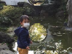 景点盆景园-南山植物园