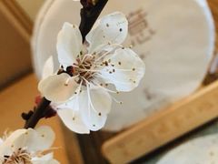-瓦库茶馆17号(海汇港店)