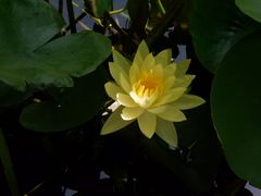 -莲湖公园