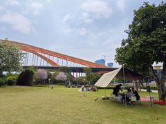 -晓港公园