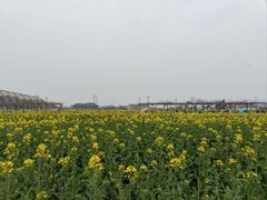 -中国天府农业博览园