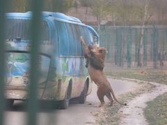 -鄂尔多斯野生动物园