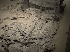 -北京大葆台遗址博物馆