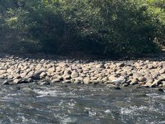 -九曲溪竹筏码头