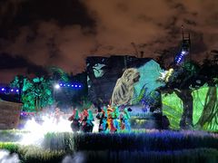 -云南民族村