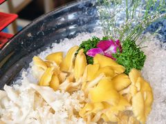 鸡油黄拼绣球菌-纯味斑鱼府(中海环宇荟店)