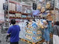 -山姆会员商店(亦庄创意生活广场店)