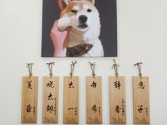 -柴犬小屋·柴餐厅·狗咖食堂(金鼎广场店)