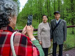 -黄海国家森林公园