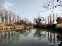 -良渚古城遗址公园