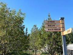 -马家湾湿地公园