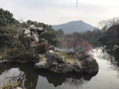 -西湖外事游船(花港观鱼码头)