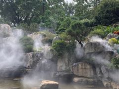 -东莞植物园