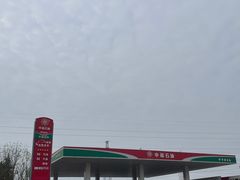 -中福石油新龙加油站