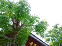 -上海万佛讲寺-停车场